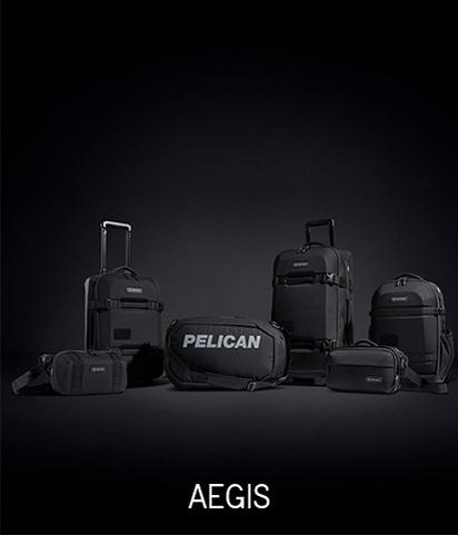 AEGIS